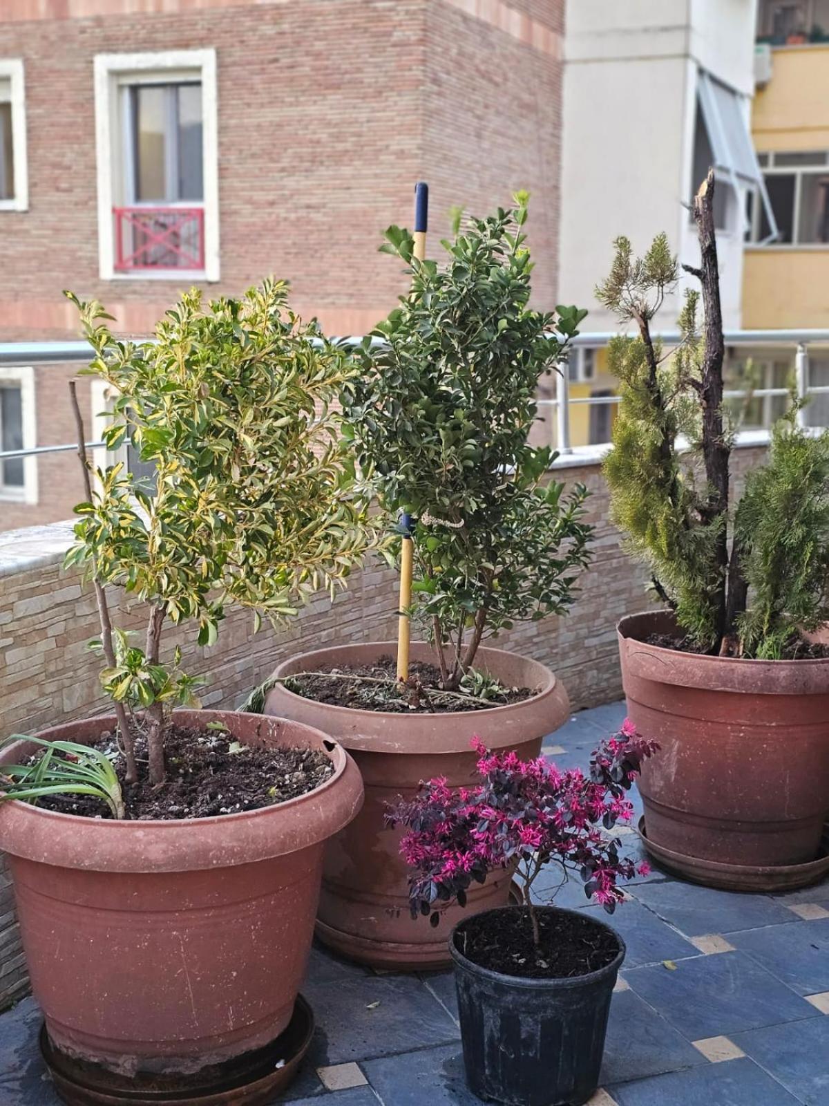Main Apartment Тирана Екстериор снимка