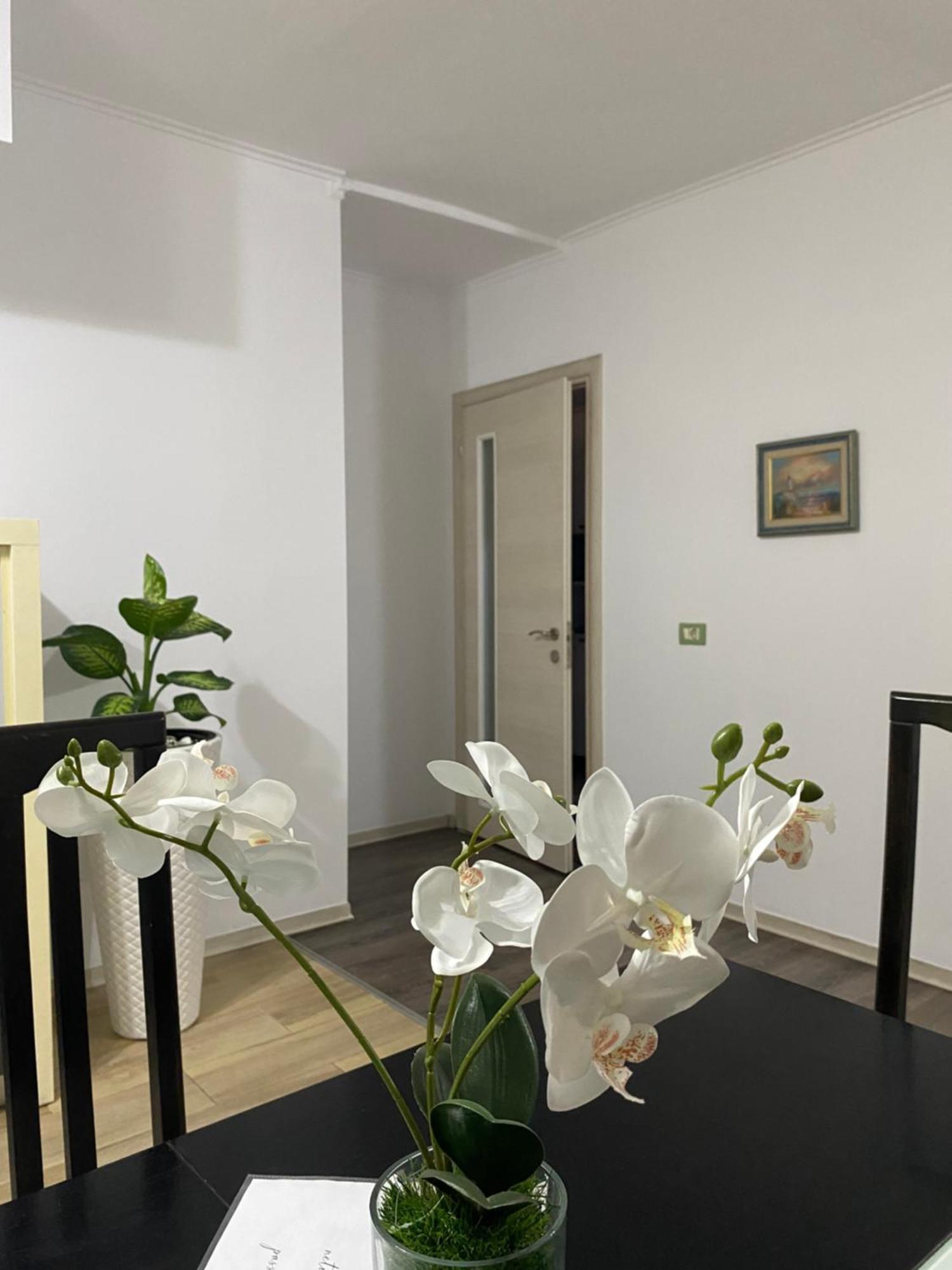 Main Apartment Тирана Екстериор снимка